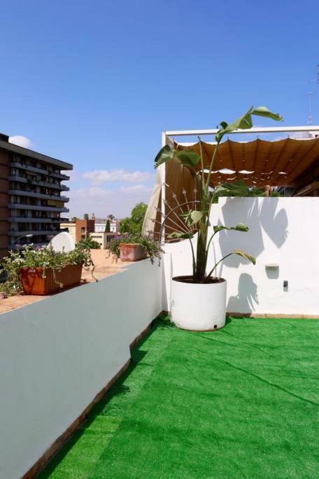 Casa Centrica Nervion Séjour chez l'habitant *